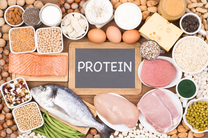 Proteins are crucial for energy restoration